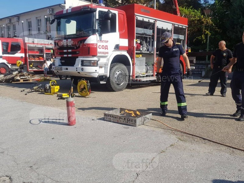 Смях! Кобра на дърво в Пловдив, алигатор във вана - най-забавните случаи на пловдивските пожарникари