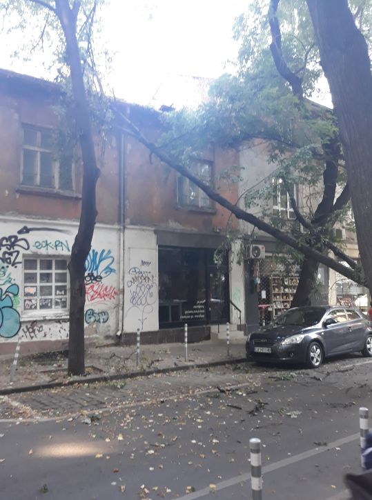 Страшен инцидент на оживена столична улица (СНИМКИ)
