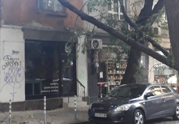 Страшен инцидент на оживена столична улица (СНИМКИ)