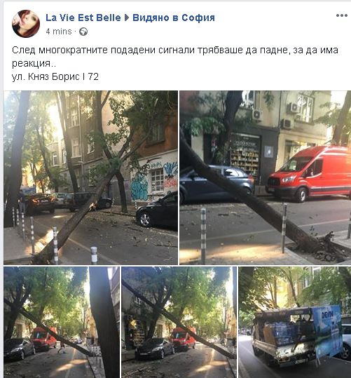 Страшен инцидент на оживена столична улица (СНИМКИ)