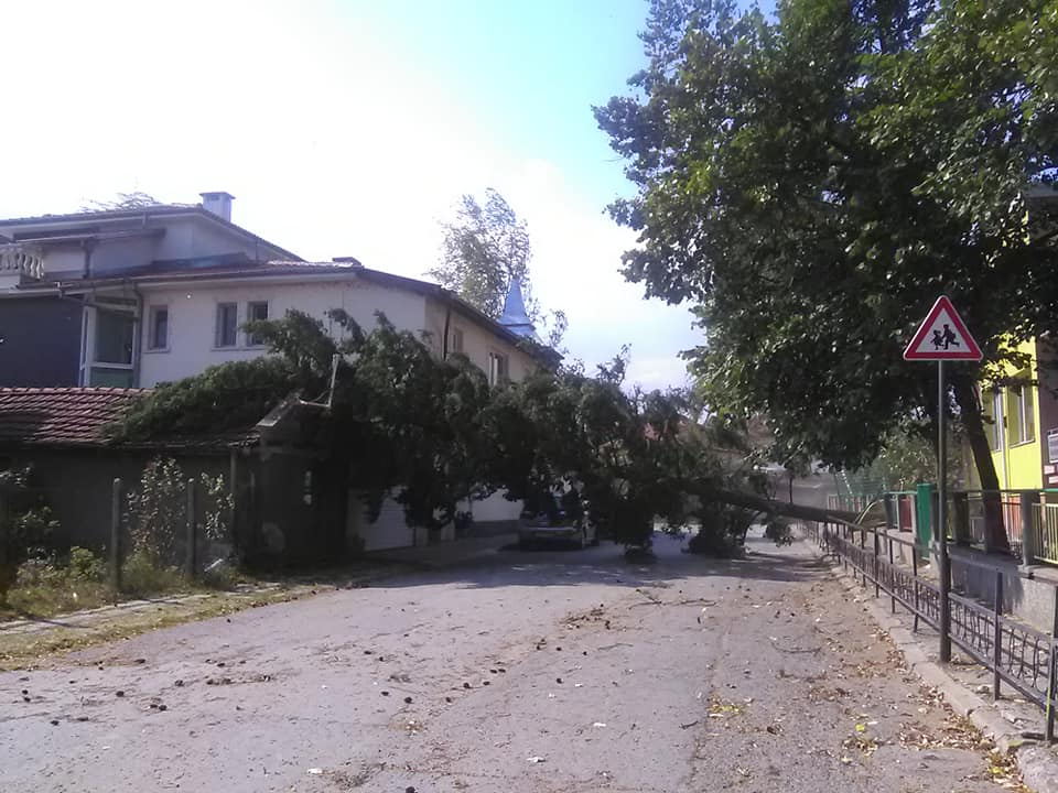 Сигнал до БЛИЦ: В Монтана е страшно! (СНИМКИ)
