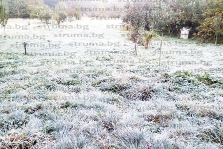 Беда: Слана попари Югозапада, градините са съсипани 