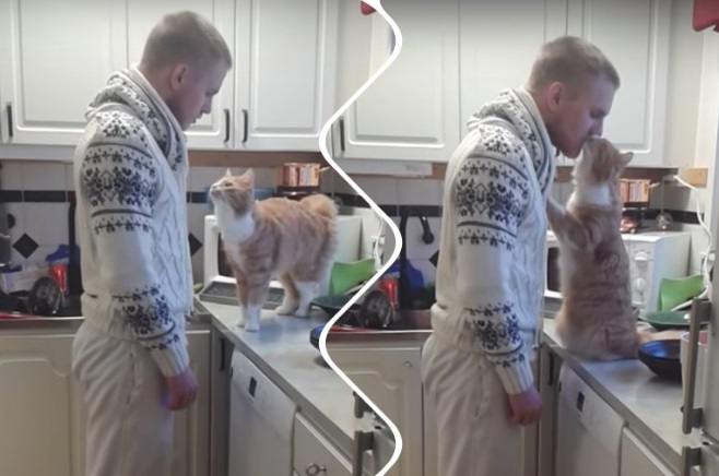 Котка демонстрира своята любов към стопанина си (ВИДЕО)