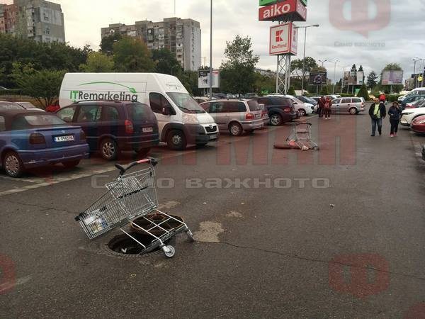 Страх лозе пази, но токова нещо рядко се вижда!