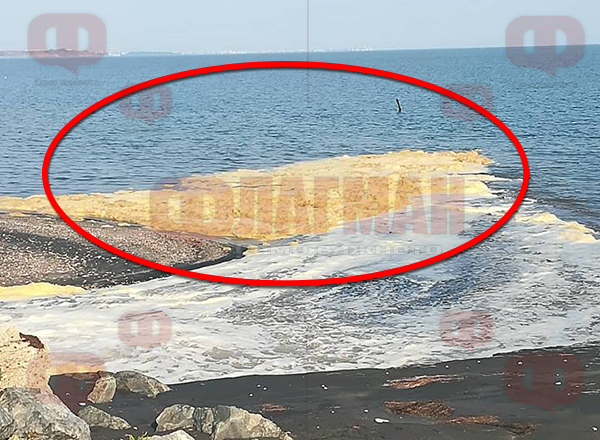 Бургазлии са шокирани! Нещо много странно се случва в морето до солниците (СНИМКИ)