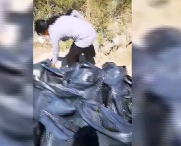 Роми налазиха дюните в Поморие! С черни чували и каруци започнаха да... (СНИМКИ/ВИДЕО)