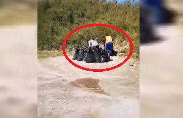 Роми налазиха дюните в Поморие! С черни чували и каруци започнаха да... (СНИМКИ/ВИДЕО)