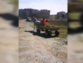 Роми налазиха дюните в Поморие! С черни чували и каруци започнаха да... (СНИМКИ/ВИДЕО)