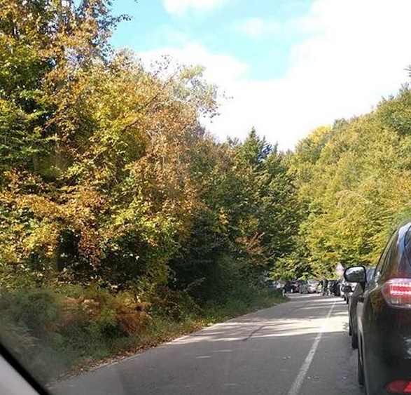 Оглупява ли народът? Стотици ще прекарат целия си ден по опашките на българо-турската граница за прах, сапун и евтини парцали