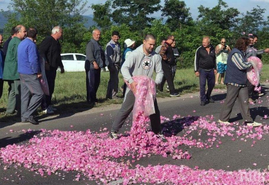 Нов закон: Сурови глоби за нерегистрирани фермери и предприятия, които отглеждат рози