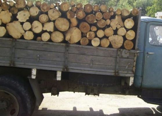 Първо в БЛИЦ: Арестуваха селски кмет, крал дърва