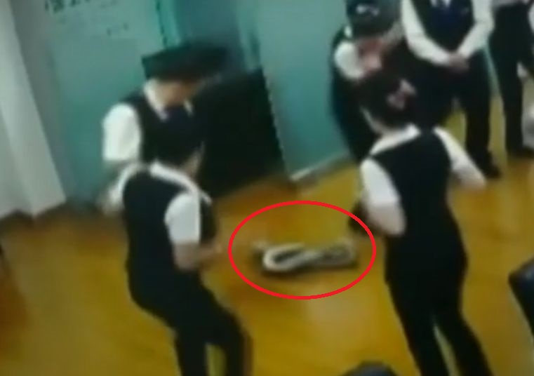Зловещо: Питон падна от тавана на банка и... (ВИДЕО)
