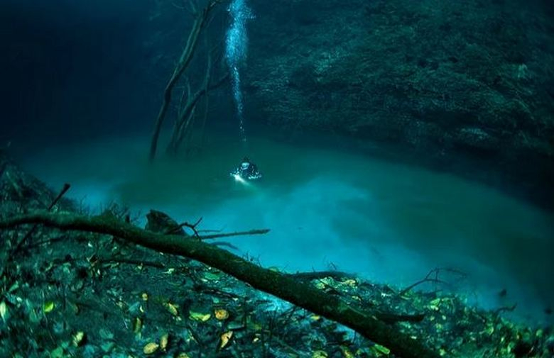 Единствената подводна река в света се намира в... Черно море! Уникални СНИМКИ