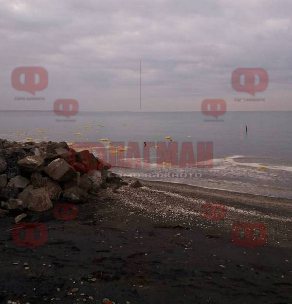 Съмнителен природен феномен до бургаските солници остава загадка (СНИМКИ)
