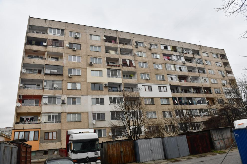 Само в БЛИЦ! Цяла София се диви на чудото "Вековище" от "Младост" 3 (СНИМКИ)