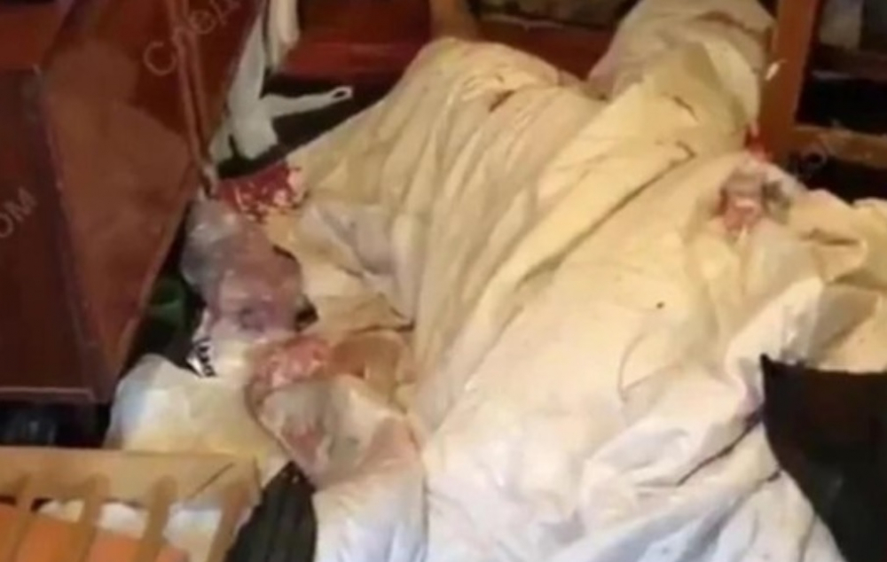 Миловидна Лолитка на 12 години разпори корема на хазяина си, а после изяде сърцето и мозъка му (СНИМКИ)