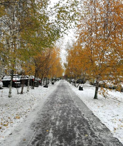 Москва се събуди в бяло (СНИМКИ)