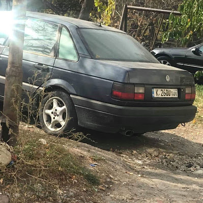 Зверство! Мъже пребиват кучета с колове до автогарата в Кърджали