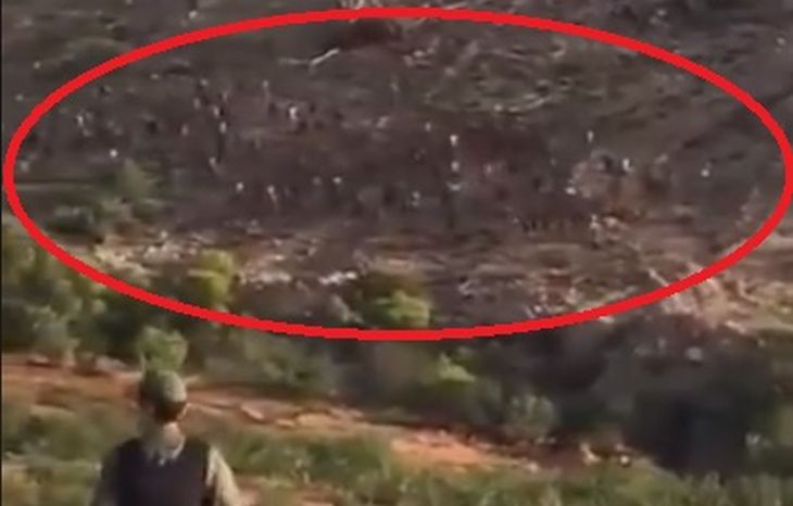 Джамбазки с нови разкрития за голямата опасност, надвиснала над Европа! (ВИДЕО)