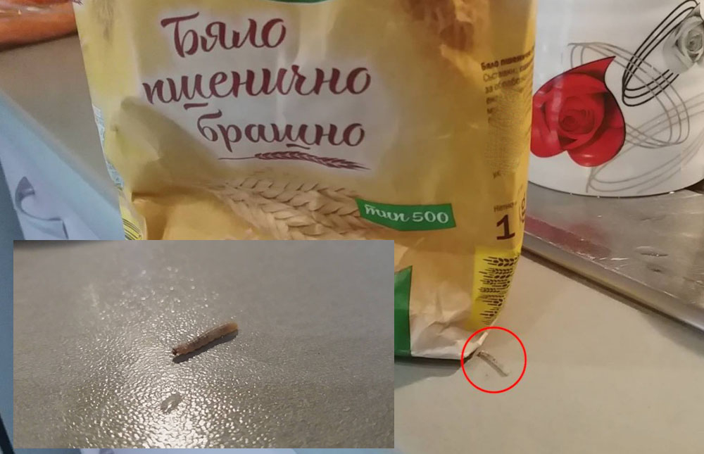 Кърджалийци откриха изключително гнусна изненада в брашно, купено на промоция 