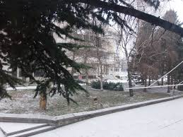 Падна първият сняг за годината, през идната седмица се чака и натрупване