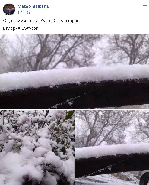Зимата вилнее с пълна сила! Ето къде вали сняг в момента и вече побеля (СНИМКИ/ВИДЕО)