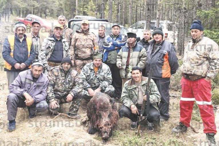 Новогодишната трапеза на авджиите в Белица е подсигурена благодарение на този звяр (СНИМКА)