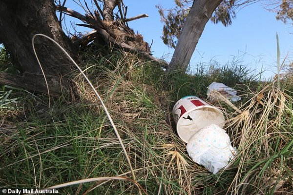 Зловещо: Откриха труп на малко бебе на един от най-любимите плажове за сърфистите в Австралия (СНИМКИ)