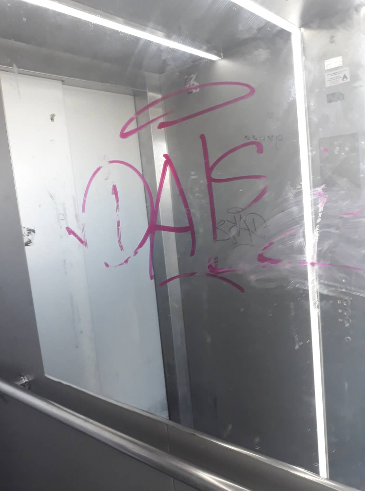 Бургаски батки направиха нещо ужасно на пасарелката на Мираж