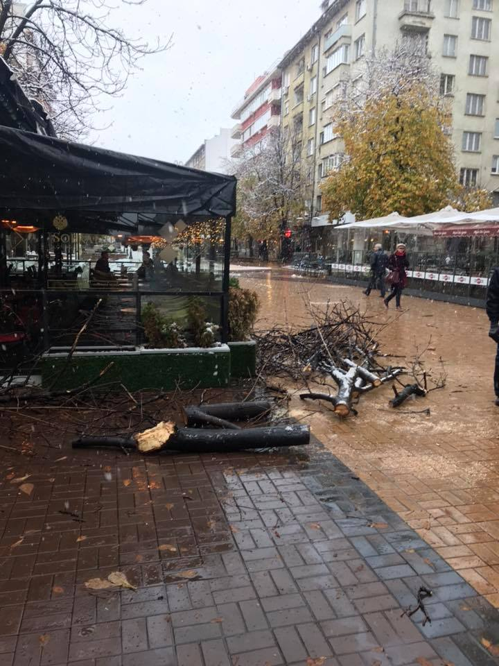 Само в БЛИЦ! Зимата продължава със зулумите си, а в София става все по-страшно (СНИМКИ)