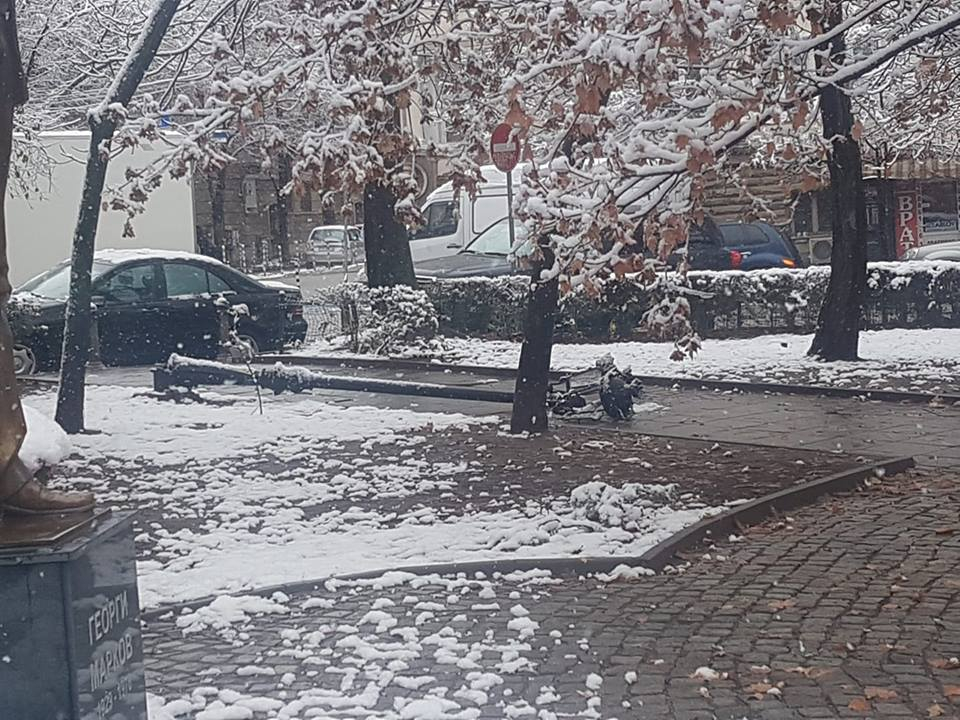 Само в БЛИЦ! Зимата продължава със зулумите си, а в София става все по-страшно (СНИМКИ)