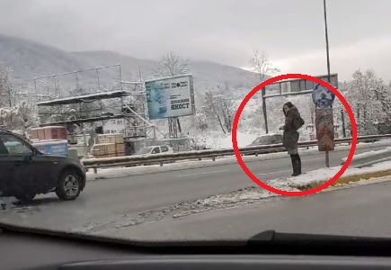 Само в БЛИЦ! Мацка по рокле застана на Столичното околовръстно, прекръсти се и тръгна да… (СНИМКИ/ВИДЕО)