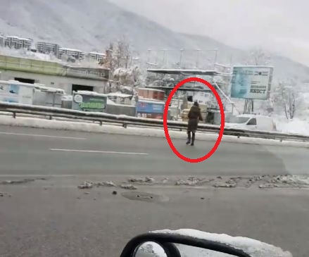 Само в БЛИЦ! Мацка по рокле застана на Столичното околовръстно, прекръсти се и тръгна да… (СНИМКИ/ВИДЕО)