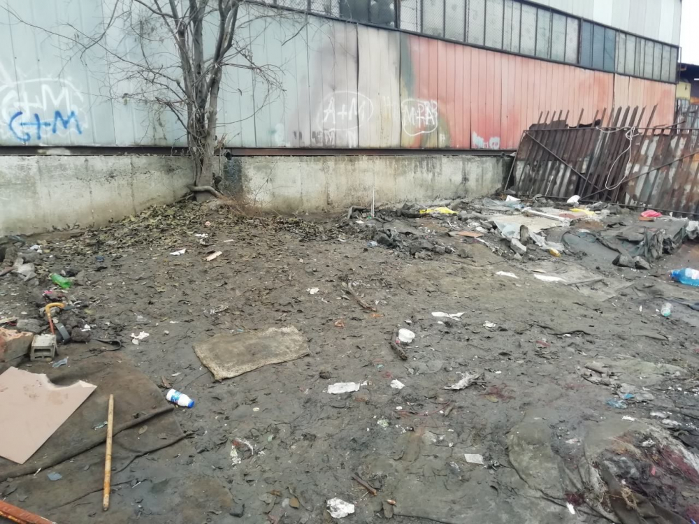 Бургаската община разтури гнусен цигански катун (СНИМКИ)