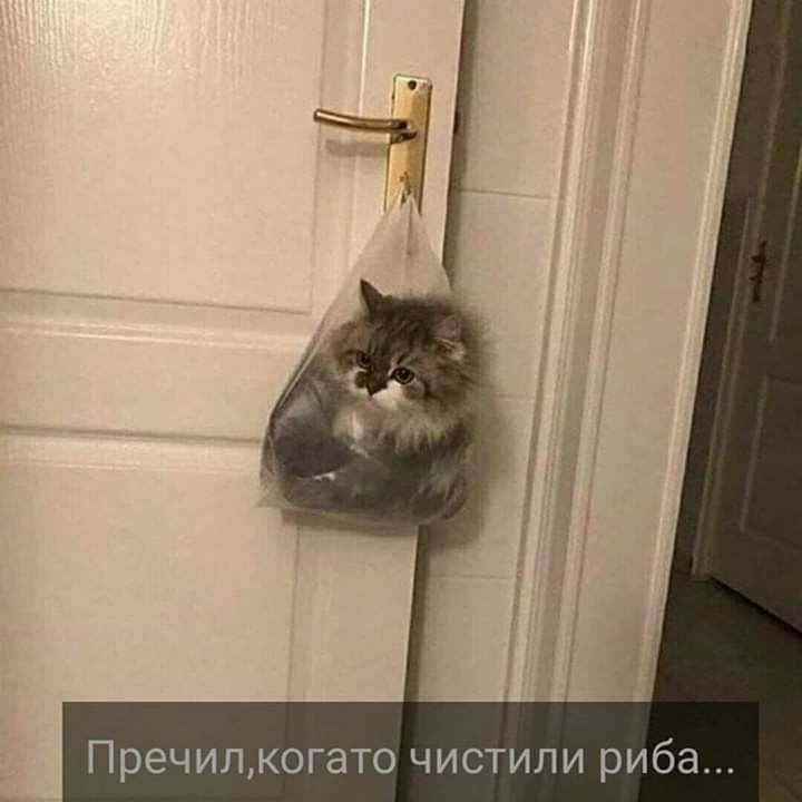 Навръх Никулден: Мрежата се превива от смях от тези СНИМКИ