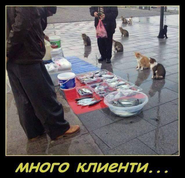 Навръх Никулден: Мрежата се превива от смях от тези СНИМКИ
