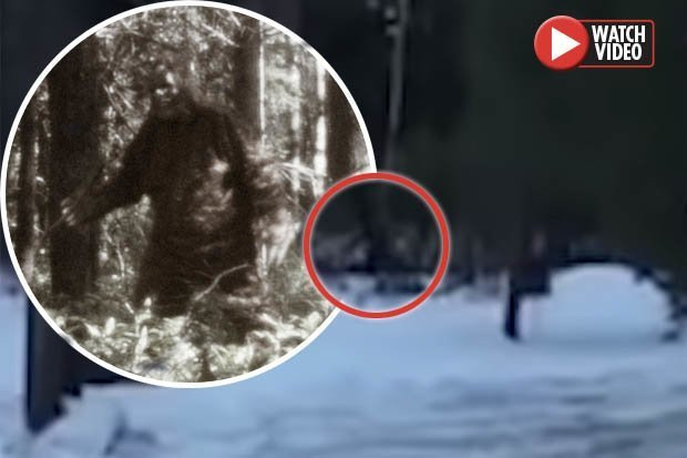Доказателство за Голямата стъпка? Семейство засне мистериозно същество пред къщата си (ВИДЕО) 