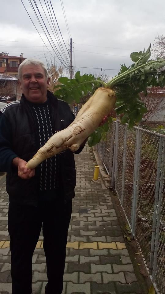 Направо не е за вярване какво чудо извади бай Христо от градината си в Свиленград (СНИМКА)