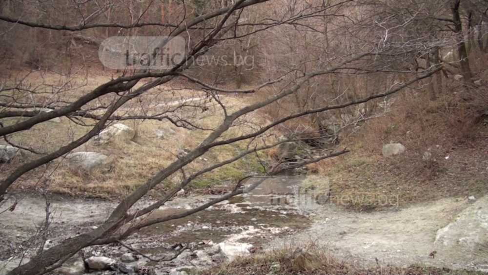 Първи СНИМКИ и ВИДЕО от мястото, където откриха трупа на младия и обичан от всички лекар от Александровска болница! 