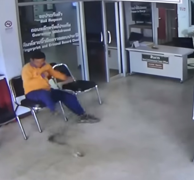 Змия пропълзя в полицейски участък и нападна посетител (ВИДЕО)