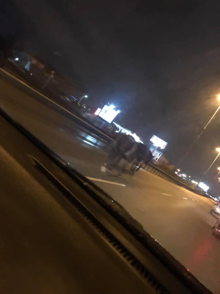 Не е за вярване какво се разхожда по Цариградско шосе (СНИМКА)