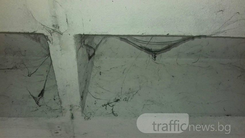 Зловещо: Пловдивчани се чудят в пещера ли са или в подлеза на Водна палата (СНИМКИ)