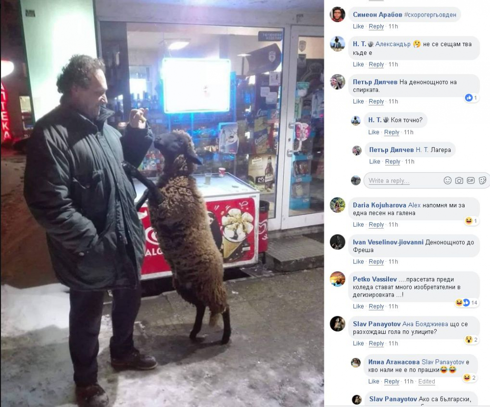Само в БЛИЦ! Невероятно, но факт: Софиянец разхожда в жк "Лагера" овца, каквато няма в цяла България! (СНИМКА)