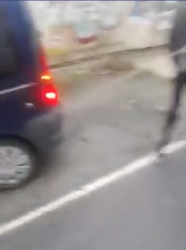 Беловлас старец потресе мрежата с това, което направи край къмпинг "Каваци" (СКАНДАЛНО ВИДЕО)