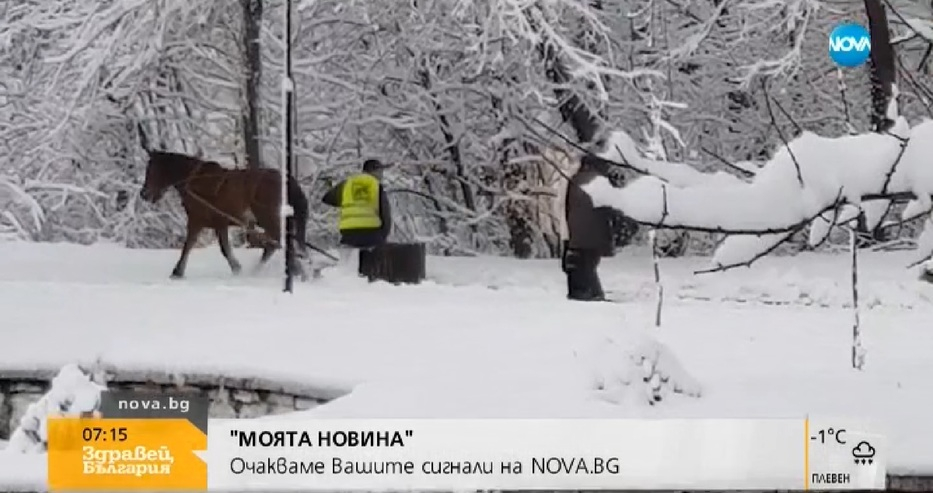 Виктор Николаев и Аделина Радева се изпуснаха в ефир и... 