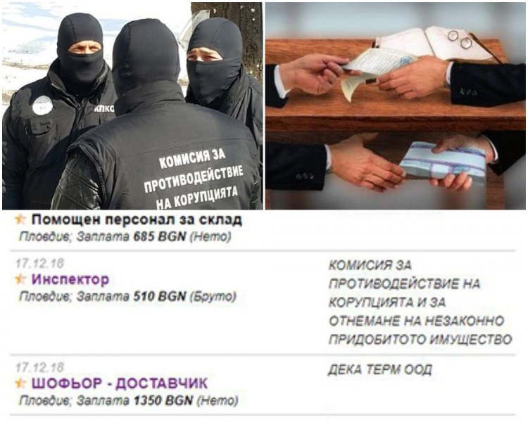 Срещу 396 лева нето! Търси се кандидат, който да бори корупцията в Пловдив 