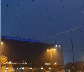 Само в БЛИЦ! Страшно знамение се появи в небето над София (ВИДЕО)