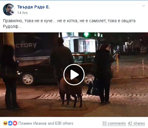 Само в БЛИЦ! Цялата мрежа се чуди какво е това рогато животно в София (СНИМКИ/ВИДЕО)