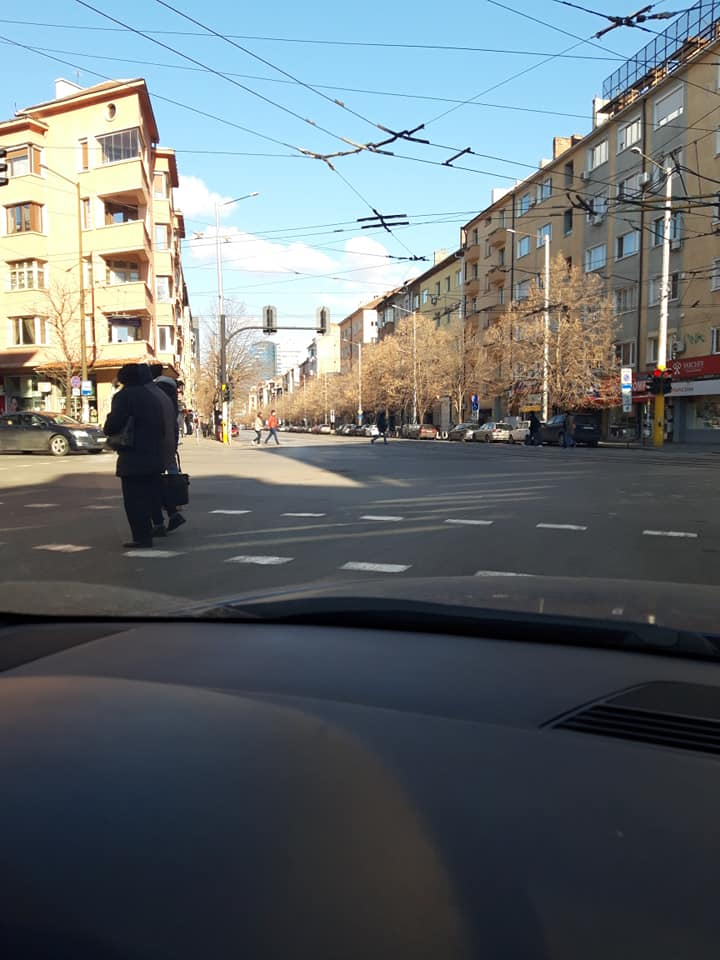 Само в БЛИЦ! Чудо като това отдавна не се бе случвало в София! Всички гледат и не вярват! (СНИМКИ)