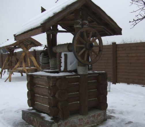 Зловеща находка в двора на карловско село 